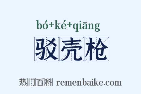 驳壳枪是什么意思的图片